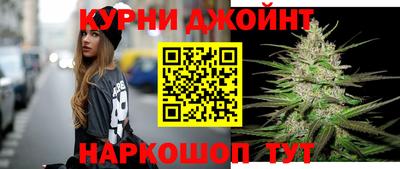индика Будённовск