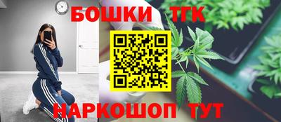индика Будённовск
