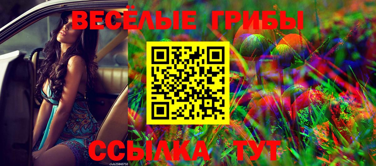 Кодеин  Бошки Шишки  Cocaine  Мурманск  Вход с VPN  МДМА  ГАШ  Купить закладку  КЕТАМИН  Гашиш  АМФЕТАМИН   Меф кристаллы 