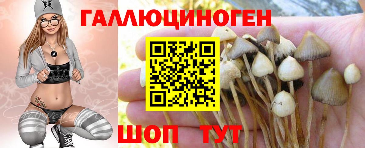 Галлюциногенные грибы MAGIC MUSHROOMS Мурманск